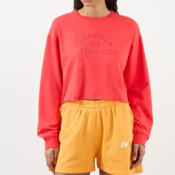 Online Campus Logo Cropped Sweatshirt Women Sweatshirts & Hoodies