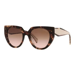 Sale Cat Eye Sunglasses PR 14WS Women Sunglasses