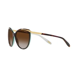 Hot Cat Eye Sunglasses RA5150 Women Sunglasses