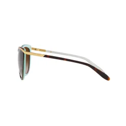 Hot Cat Eye Sunglasses RA5150 Women Sunglasses