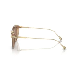 Sale Cat Eye Sunglasses SK6010 Women Sunglasses