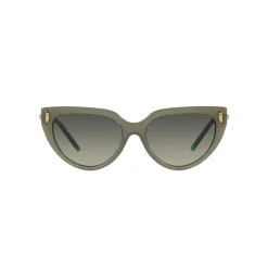 Online Cat Eye Sunglasses TF4195 Women Sunglasses