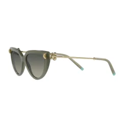 Online Cat Eye Sunglasses TF4195 Women Sunglasses