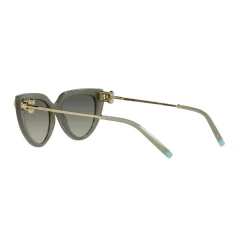 Online Cat Eye Sunglasses TF4195 Women Sunglasses