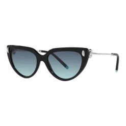 Cat Eye Sunglasses TF4195 Women Sunglasses