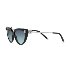 Cat Eye Sunglasses TF4195 Women Sunglasses