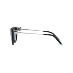 Cat Eye Sunglasses TF4195 Women Sunglasses