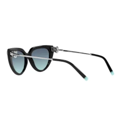 Cat Eye Sunglasses TF4195 Women Sunglasses