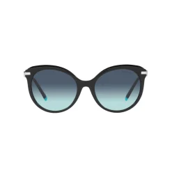 New Cat Eye Sunglasses TF4189B Women Sunglasses
