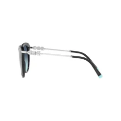 New Cat Eye Sunglasses TF4189B Women Sunglasses