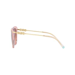 Cat Eye Sunglasses TF4189B Women Sunglasses