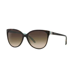 Clearance Cat Eye Sunglasses TF4089B Women Sunglasses