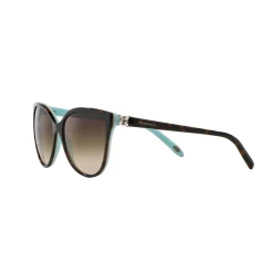 Clearance Cat Eye Sunglasses TF4089B Women Sunglasses