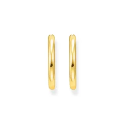 Classic Gold-Plated Hoop Earrings Women Earrings