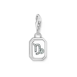 3D Capricorn Star Sign Charm Women Charms