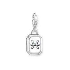 3D Pisces Star Sign Charm Women Charms