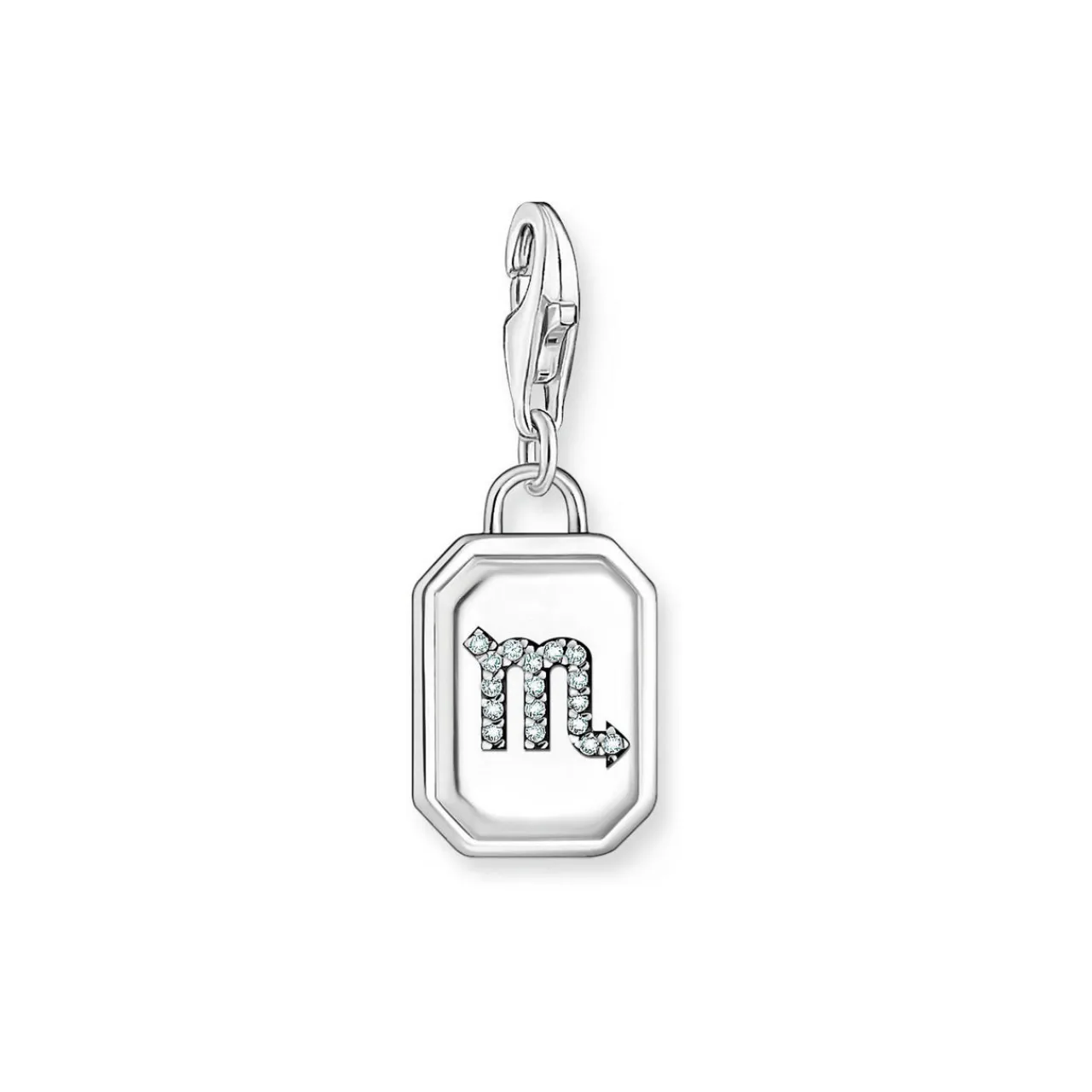 Sale 3D Scorpio Star Sign Charm Women Charms