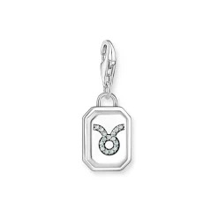 3D Taurus Star Sign Charm Women Charms