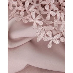 Sale Daisy Lace Dress Women Dresses