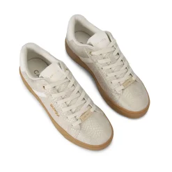 Daze Gum Lace-Up Trainers Women Trainers