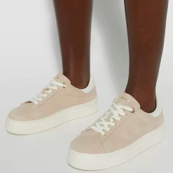 Discount Eden Lace-Up Platform Trainers Women Trainers