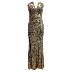 Fernanda Sequin Gown Women Dresses