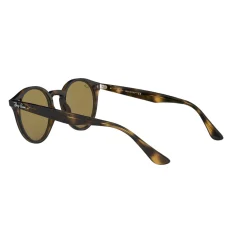 Best Havana Phantos Sunglasses  Brown Women Sunglasses
