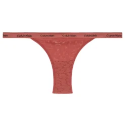 New Icon Lace Briefs Women Lingerie