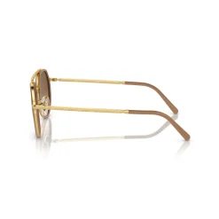 Hot Irregular Sunglasses RB3765 Women Sunglasses