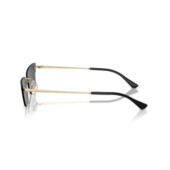 Hot Irregular Sunglasses RB3731 Anh Bio-Based Women Sunglasses