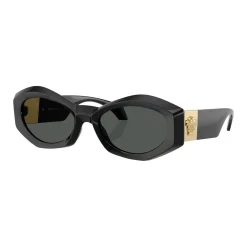 Best Irregular Sunglasses VE4466U Women Sunglasses