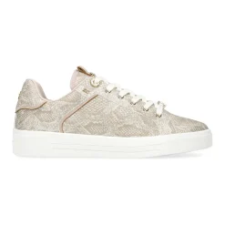 Hot Lillian Trainers Women Trainers