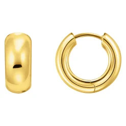 Online Mini Gold-Plated Chunky Hoops Women Earrings