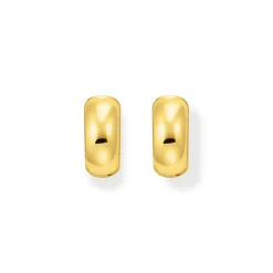 Online Mini Gold-Plated Chunky Hoops Women Earrings