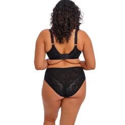 Nerina High Leg Briefs Women Lingerie