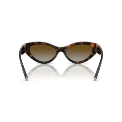 Sale Oval Sunglasses TF4225U Women Sunglasses