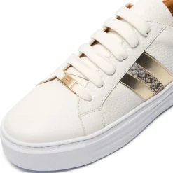 Online Polita Platform Trainers Women Trainers
