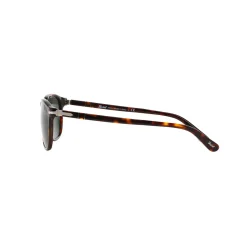 Hot PO3019S 52 Trt Brn Grn Women Sunglasses