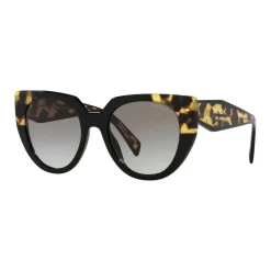 Clearance PR 14WS Cat Eye Sunglasses Women Sunglasses