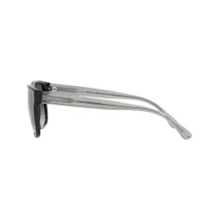 Rectangle Sunglasses 0EA4163 Women Sunglasses