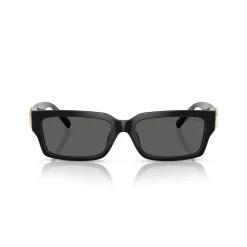 Rectangle Sunglasses TF4226U Women Sunglasses