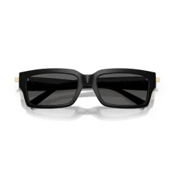 Rectangle Sunglasses TF4226U Women Sunglasses