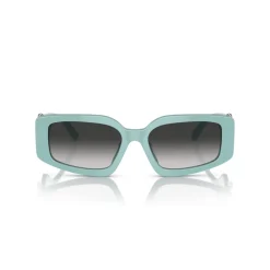 Hot Rectangle Sunglasses TF4208U Women Sunglasses