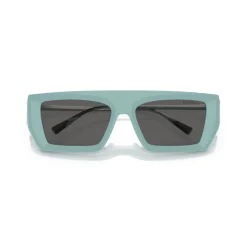 Rectangle Sunglasses TF4214U Women Sunglasses