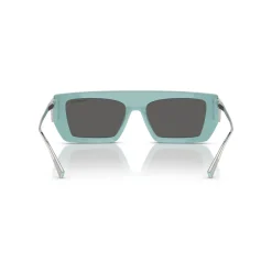 Rectangle Sunglasses TF4214U Women Sunglasses