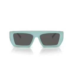 Rectangle Sunglasses TF4214U Women Sunglasses