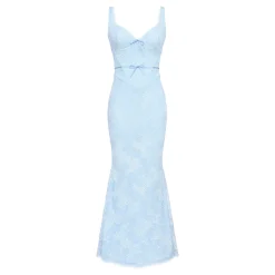 Hot Sarai Lace Godet Dress Women Dresses