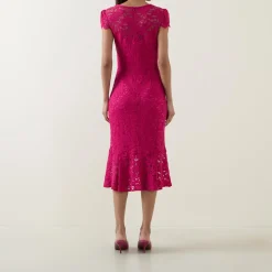 Outlet Scalloped Lace Dress Women Dresses