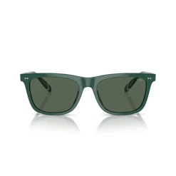 Best Square Sunglasses PH4205U Women Sunglasses