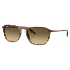Square Sunglasses RB2203 Women Sunglasses